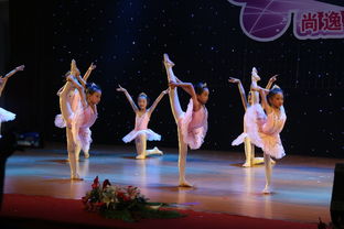 專業(yè)攝影攝像服務(wù)，定格新會最美瞬間